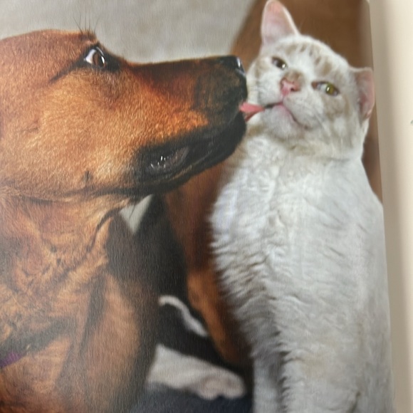 Two Heartwarming Books Humble & Kind and Unlikely Friendships Both EXC! - Picture 9 of 16